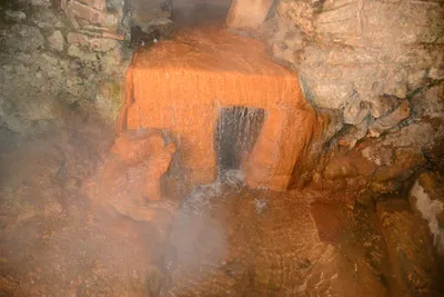 DSC_2644 (Large).JPG